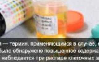 Почему у ребенка в моче повышены лейкоциты: возможные причины