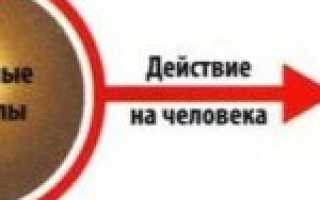 Что такое антиоксиданты, их свойства, в чем содержатся — продукты, препараты